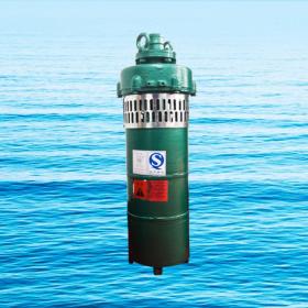 QS小型潛水電泵、QST660V特種電泵