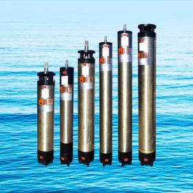 WHNWHM系列國際通用標準潛水電機